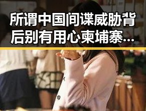 所谓中国间谍威胁背后别有用心 柬埔寨押解回国的陈志犯罪集团重要骨干刘引发关注