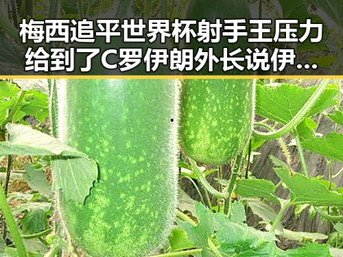 梅西追平世界杯射手王压力给到了C罗 伊朗外长说伊美新一轮谈判可能在瑞士举行