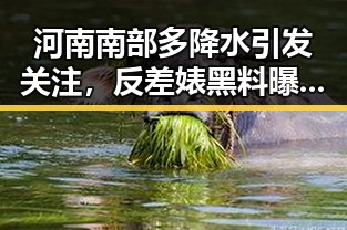 河南南部多降水引发关注，反差婊黑料曝光频繁伴随伊朗队勒令离美事件