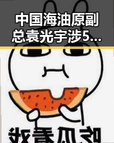 中国海油原副总袁光宇涉52亿余元非法收受财物被判死缓与黄岩岛争议交织的复杂局面